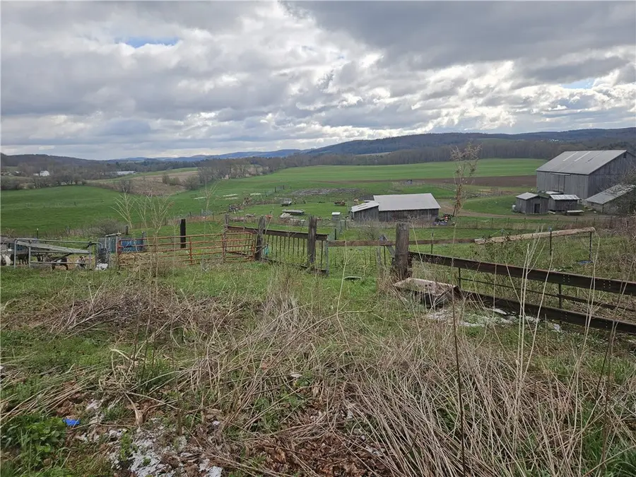 Dutch Valley Road, Edmeston, NY 13335 - #2