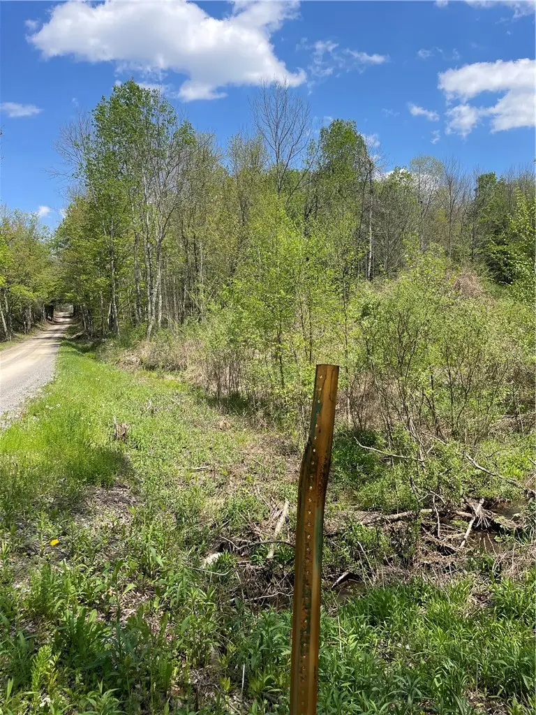 1-20 Sternberg Road, Jefferson, NY 12093 - #2