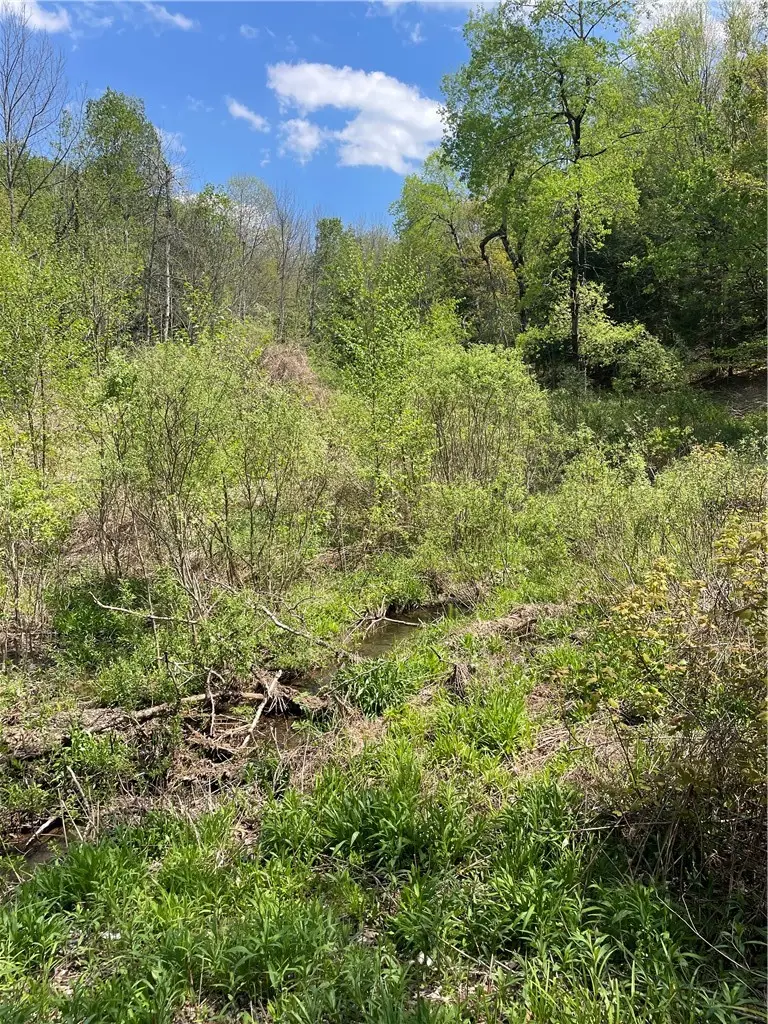 1-20 Sternberg Road, Jefferson, NY 12093 - #3