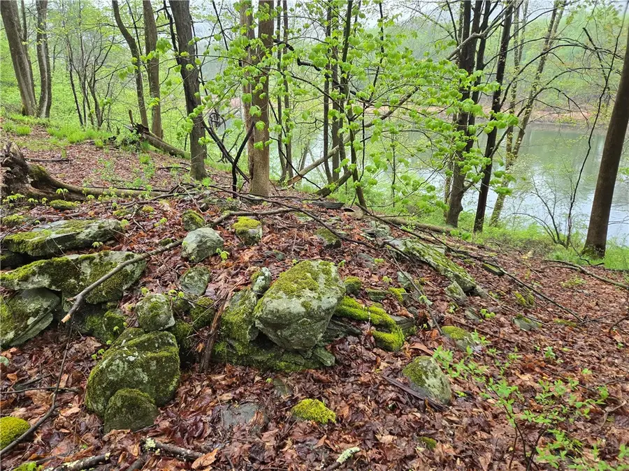 County Road 17, Hancock, NY 13783 - #3