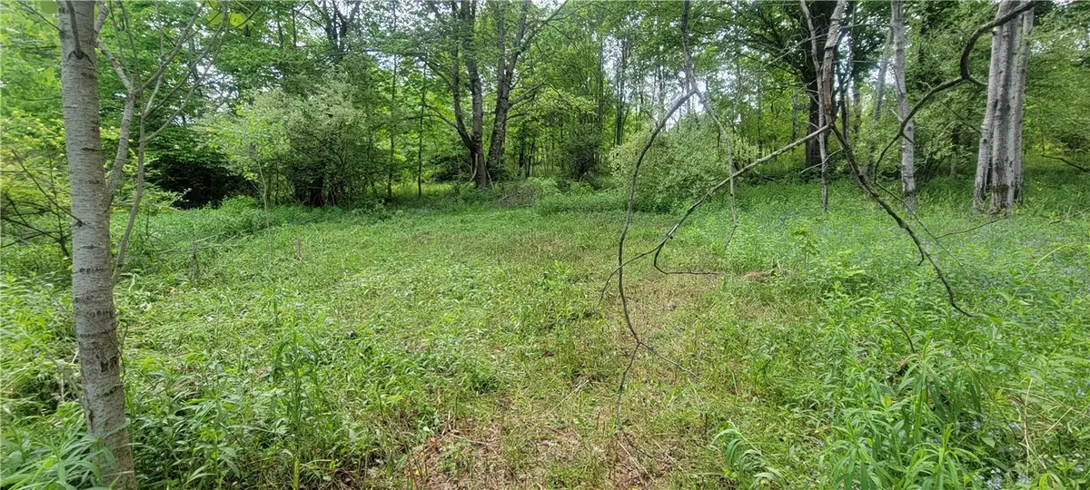 Mary Lynne Lane, Guilford, NY 13780 - #1