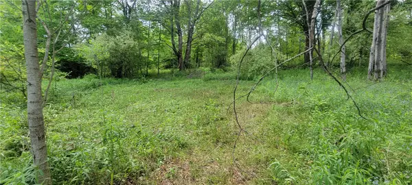 Mary Lynne Lane, Guilford, NY 13780