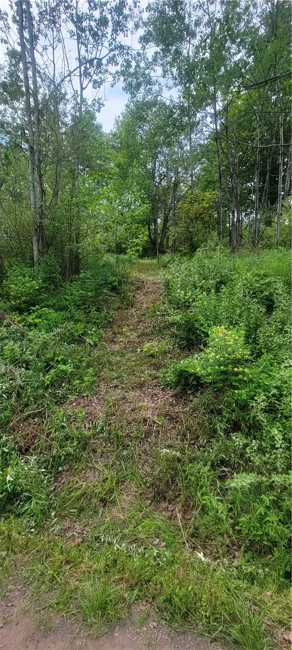 Mary Lynne Lane, Guilford, NY 13780 - #2