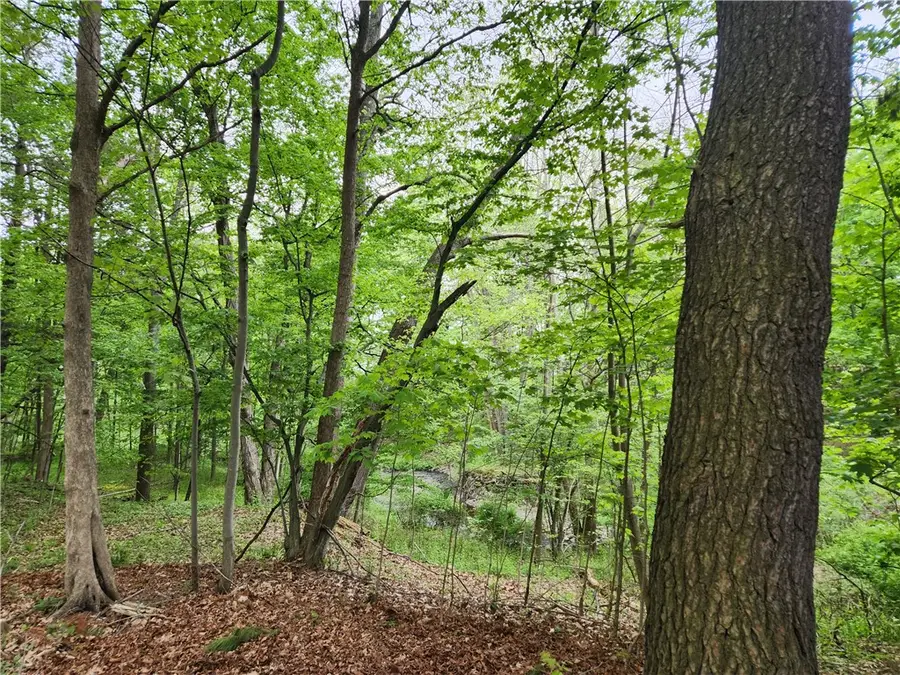 65 Sunset West Circle, Ithaca, NY 14850 - #2