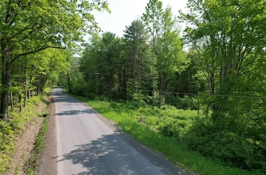 0 Cemetery Hill Road, Oneonta, NY 13820 - #2