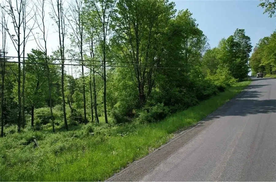 0 Cemetery Hill Road, Oneonta, NY 13820 - #3