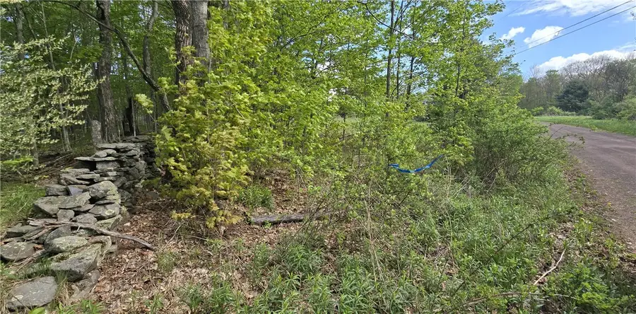 Adams Hill Road, Stamford, NY 12167 - #3