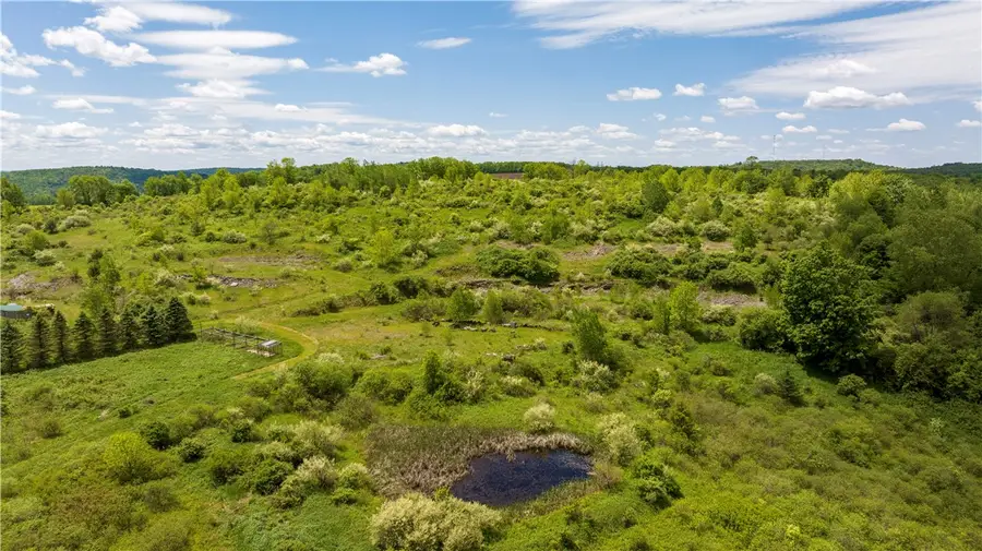 County Road 36, Guilford, NY 13780 - #2