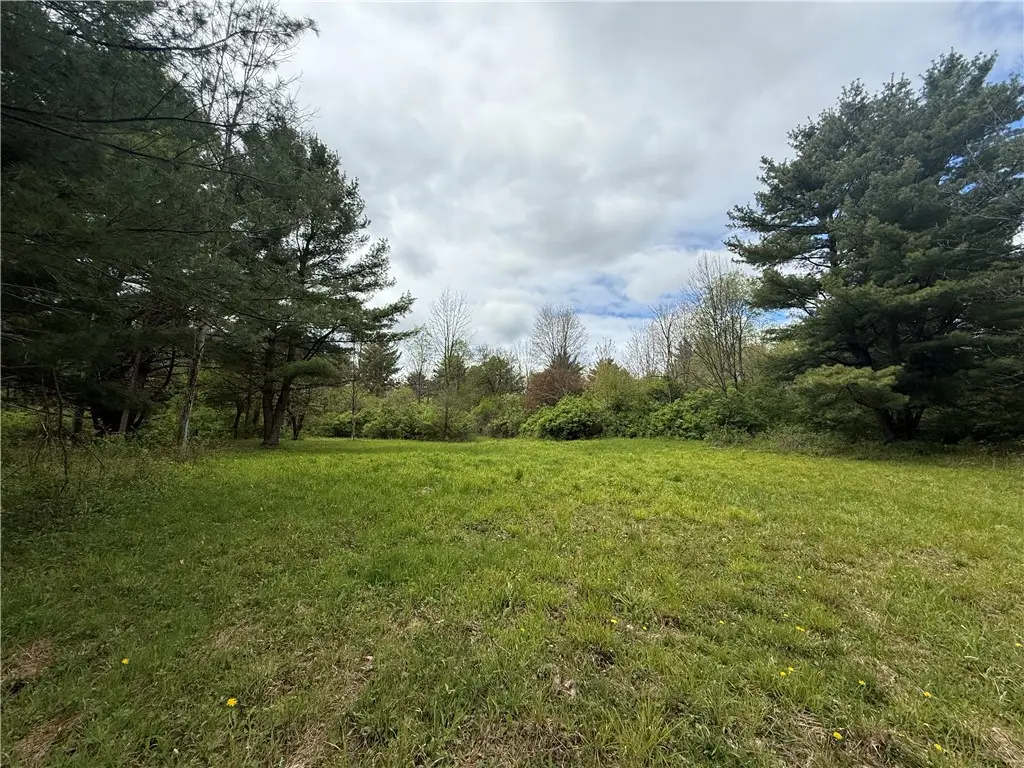 Caswell Road, Freeville, NY 13068 - #1