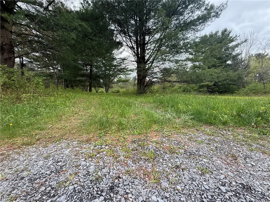 Caswell Road, Freeville, NY 13068 - #2