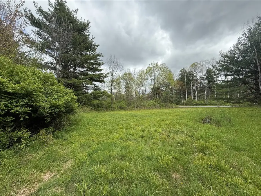 Caswell Road, Freeville, NY 13068 - #3