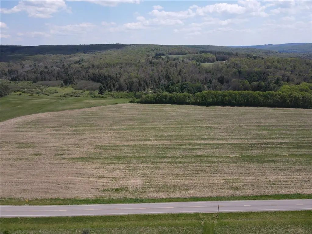 Lot 1 County Road 16, Swain, NY 14884 - #1
