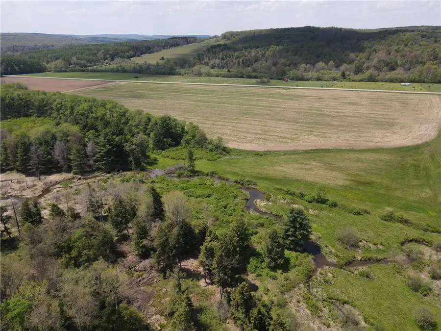 Lot 1 County Road 16, Swain, NY 14884 - #2