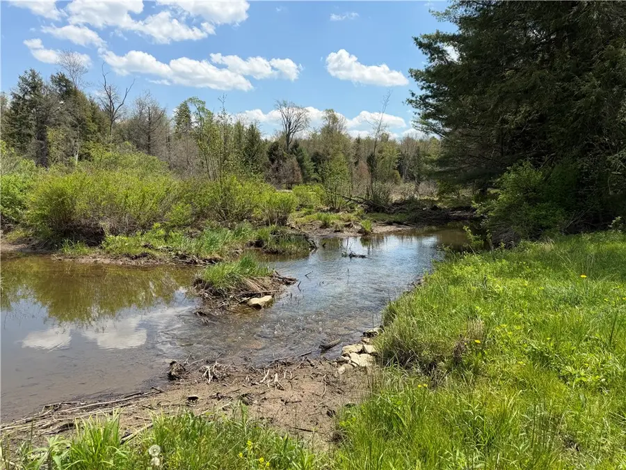 Lot 1 County Road 16, Swain, NY 14884 - #3
