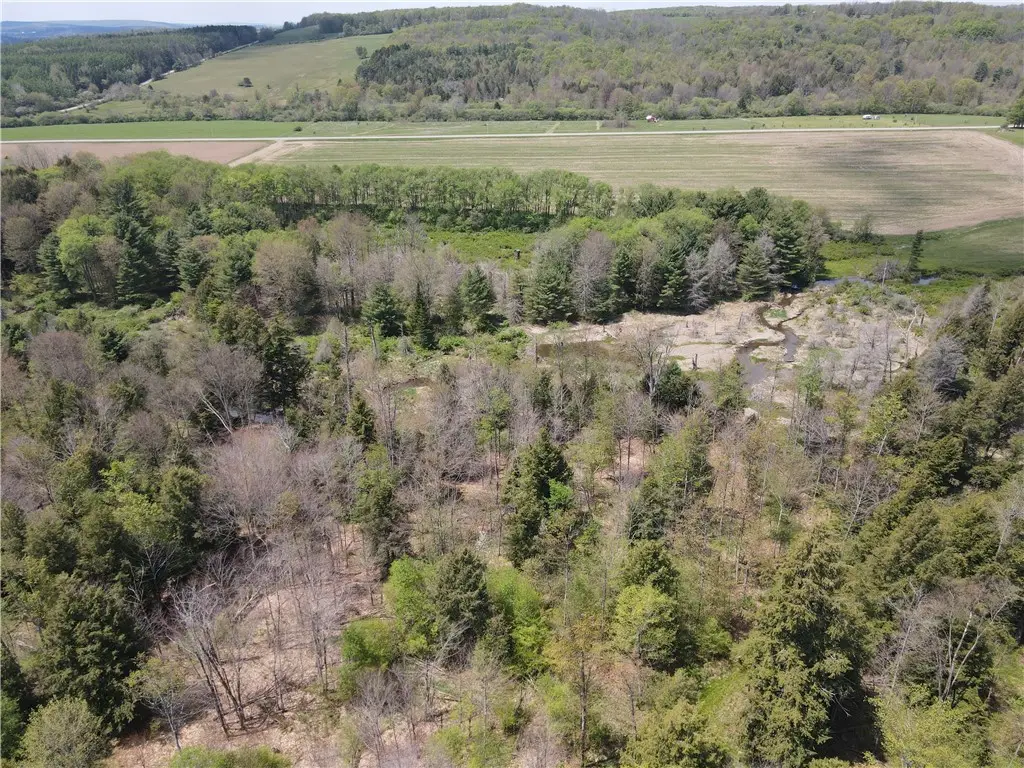 Lot 2 County Road 16, Swain, NY 14884 - #1