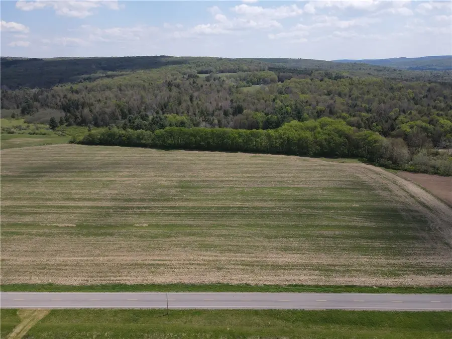 Lot 2 County Road 16, Swain, NY 14884 - #2