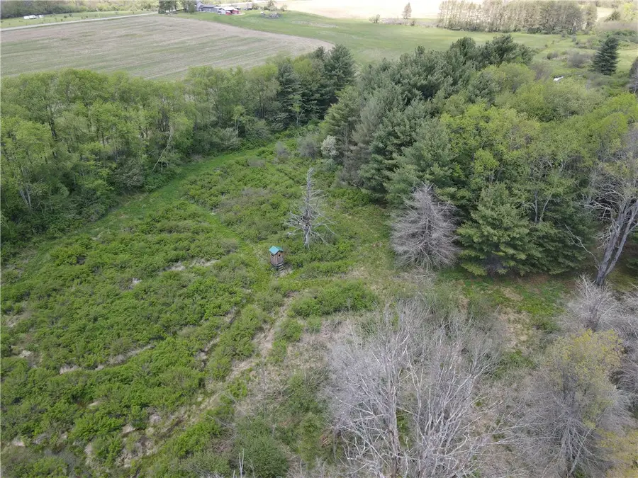 Lot 2 County Road 16, Swain, NY 14884 - #3