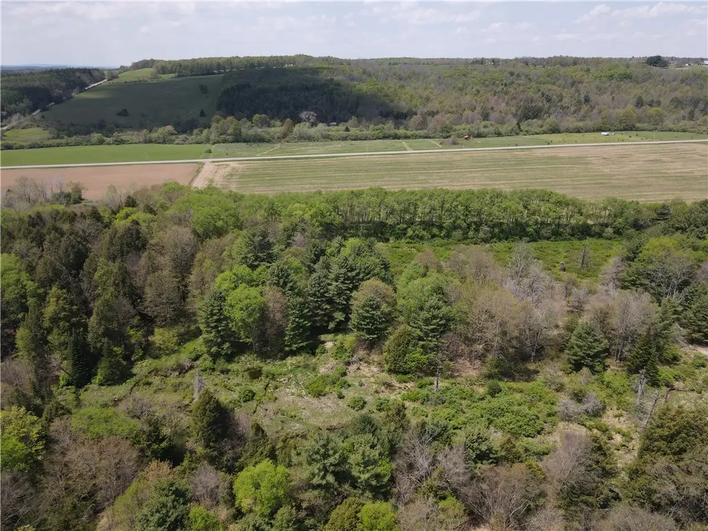 Lot 03 County Road 16, Swain, NY 14884 - #1
