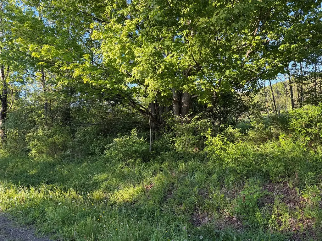 0 County Highway 4, Gilbertsville, NY 13776 - #1