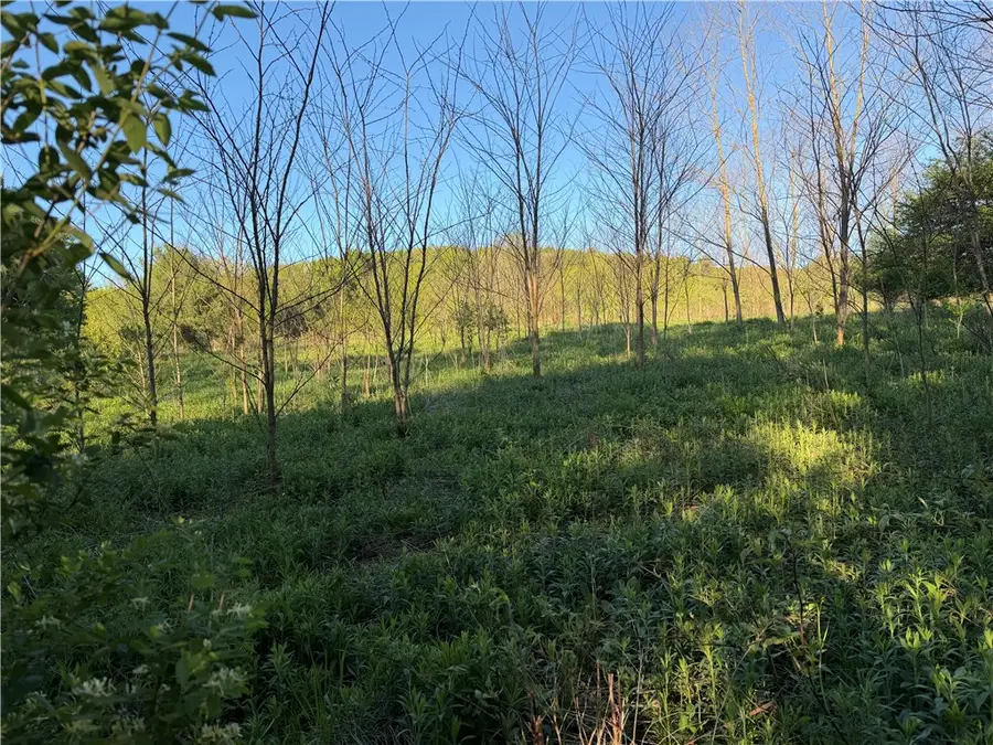 0 County Highway 4, Gilbertsville, NY 13776 - #2