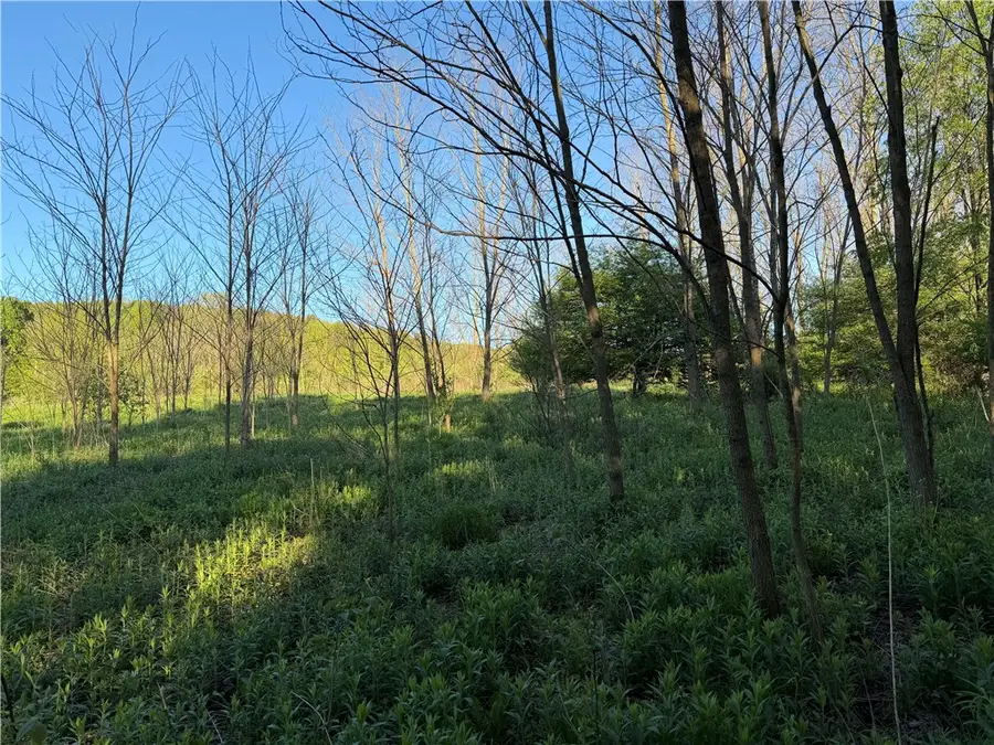 0 County Highway 4, Gilbertsville, NY 13776 - #3
