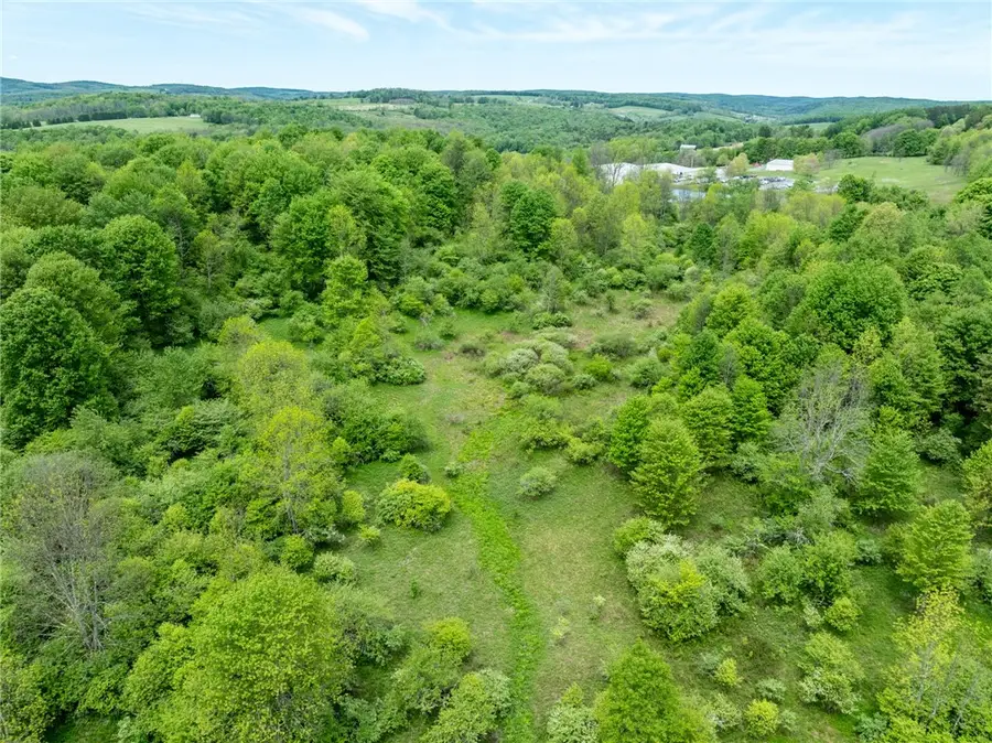 Bell Road, New Berlin, NY 13411 - #3