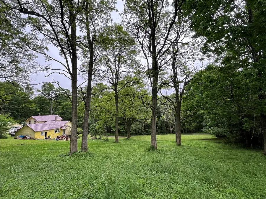 326 Park Hill Road, Erin, NY 14838 - #2