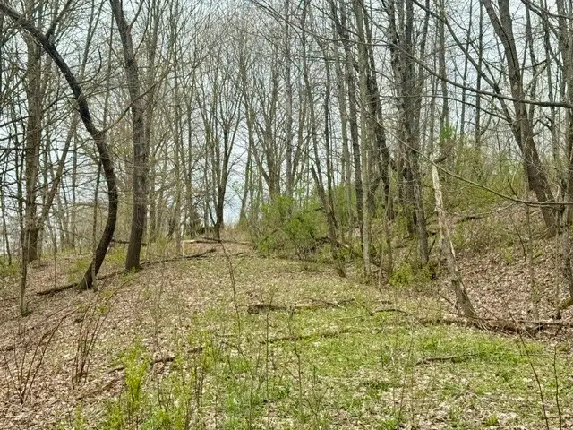 Lot 4 Shaver Hill Road, Meridale, NY 13806 - #3
