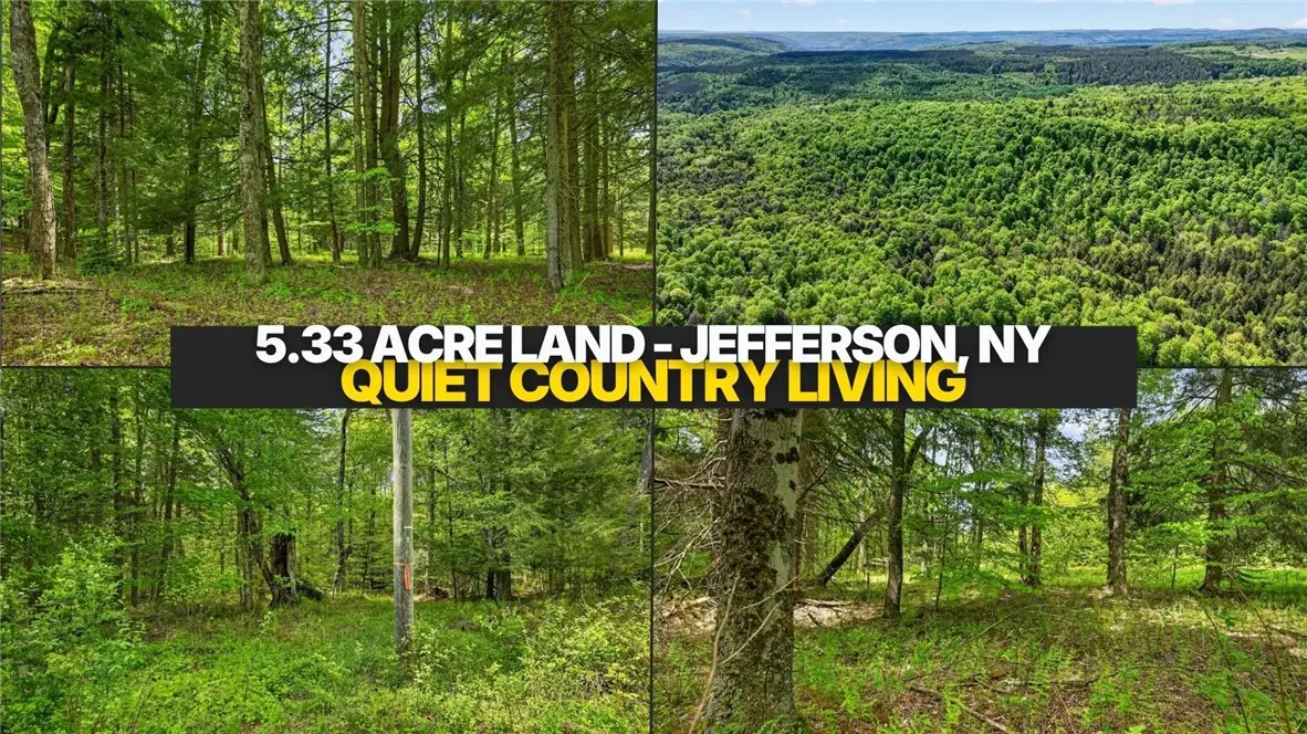 L1.6 Crystal Brook Path, Jefferson, NY 12093 - #1