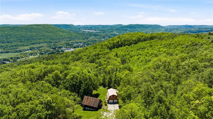 6651 Longsdorf Road, Naples, NY 14512 - #3
