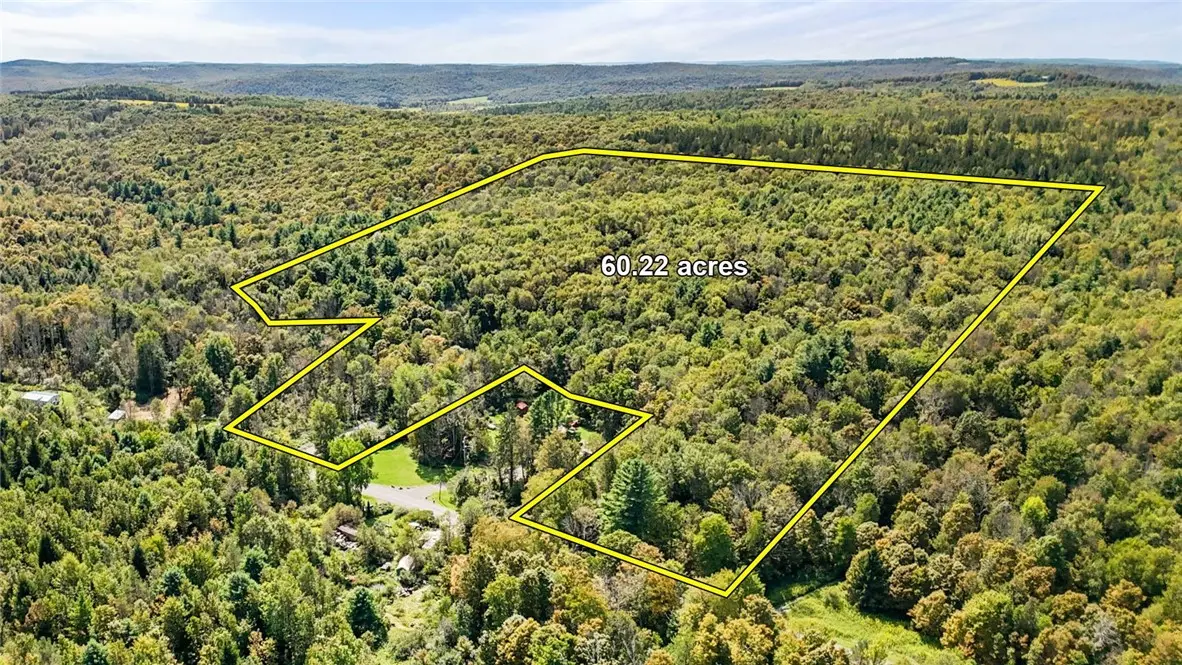 541 Blackman Hill Road, Berkshire, NY 13736 - #1