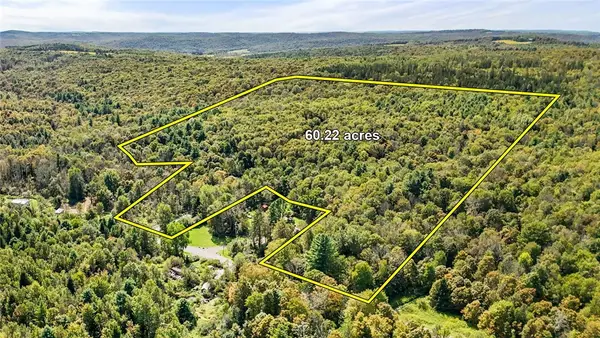 541 Blackman Hill Road, Berkshire, NY 13736