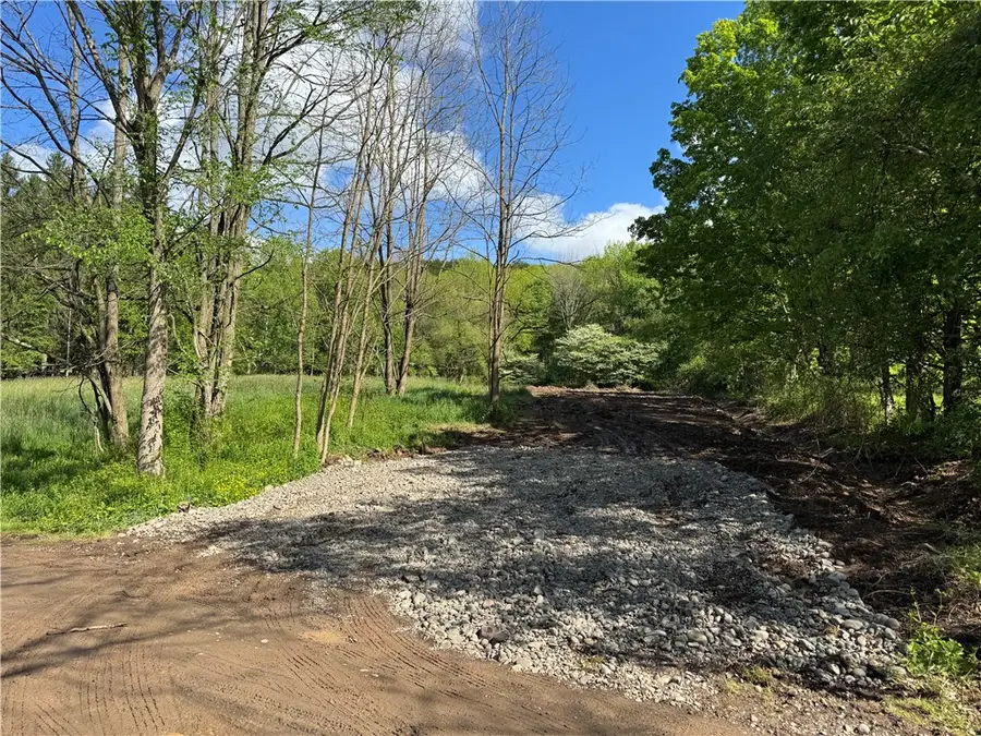 1104 Downey Road, Otego, NY 13825 - #2
