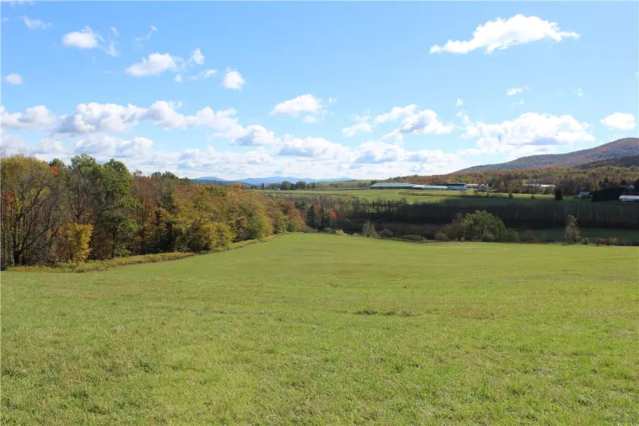 238 Blackberry Street, Gilboa, NY 12167 - #2