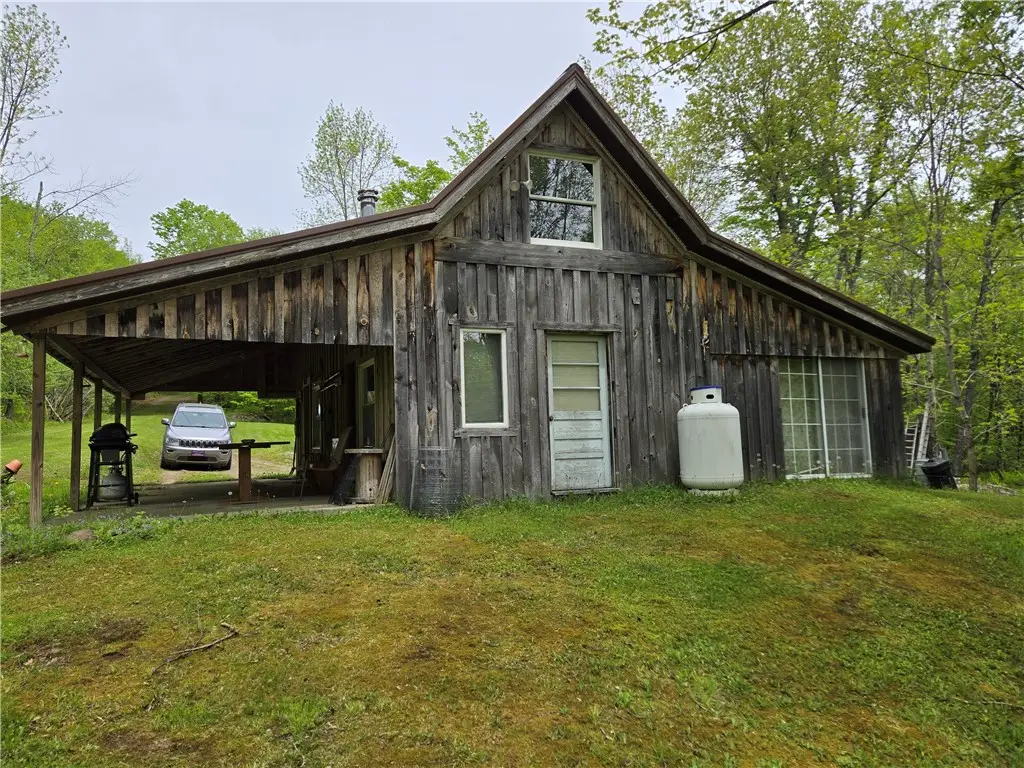 187 Tower Lane, Walton, NY 13856 - #1