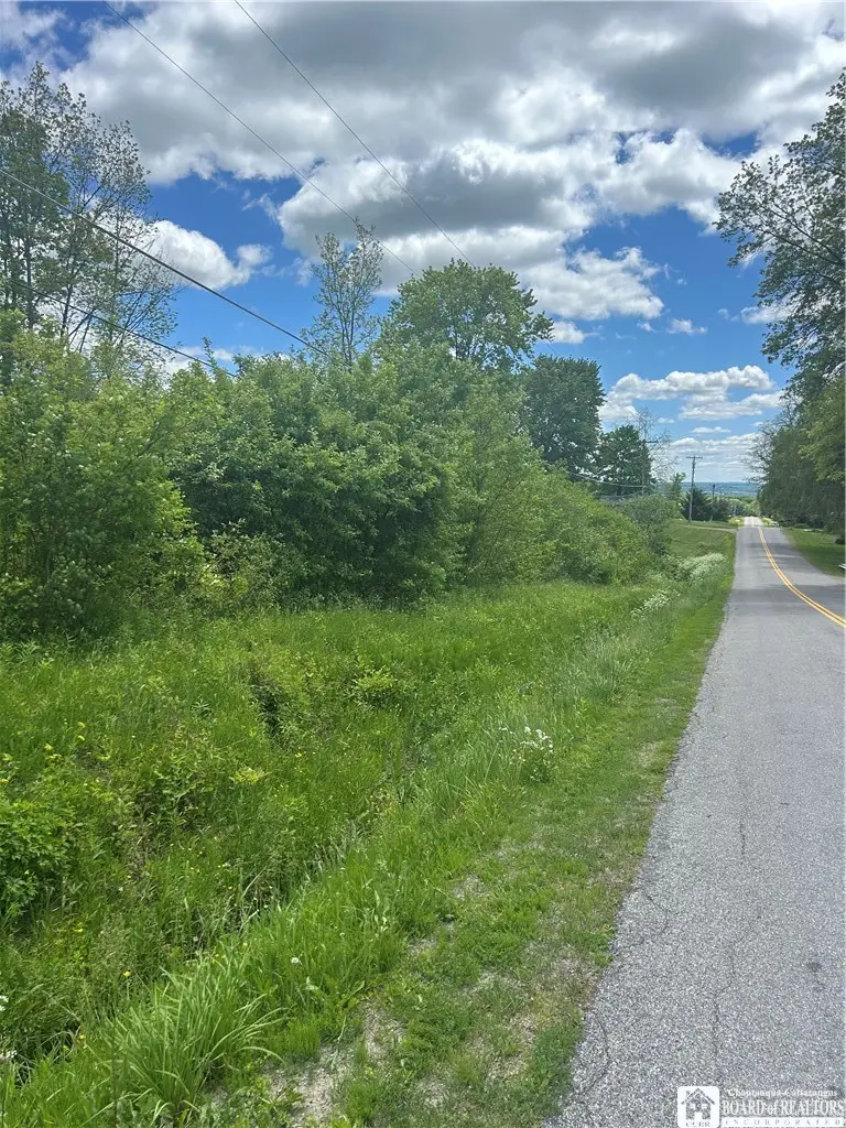 Belleview Road E, Bemus Point, NY 14712 - #1