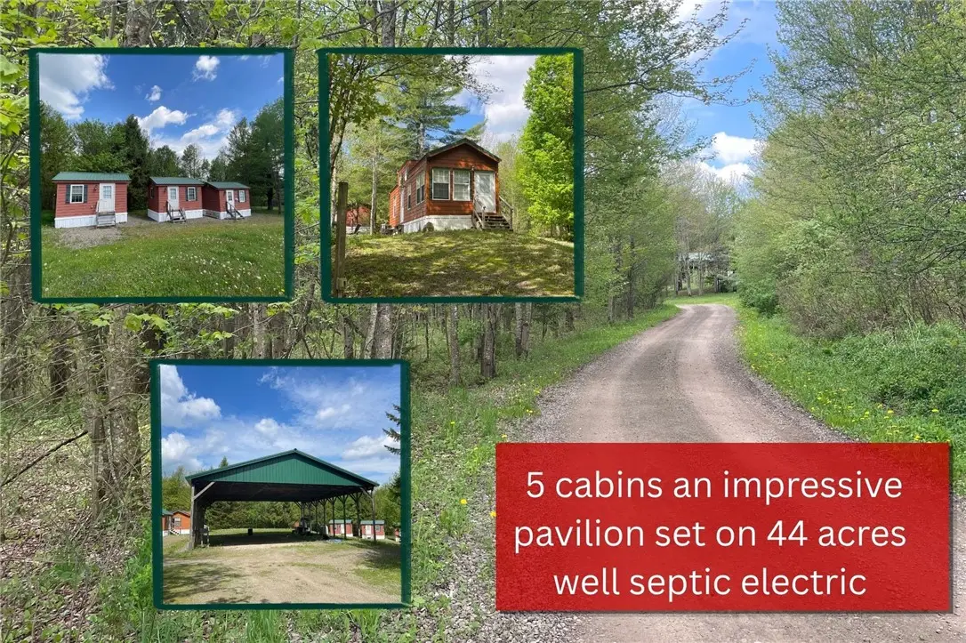 174 Peraglie Road, Jefferson, NY 12093 - #1
