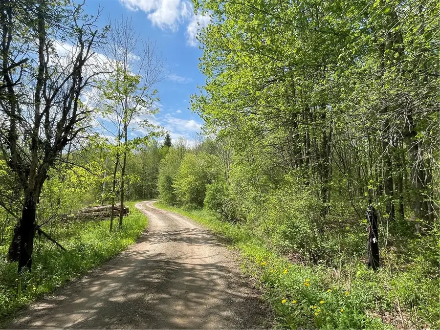 174 Peraglie Road, Jefferson, NY 12093 - #3