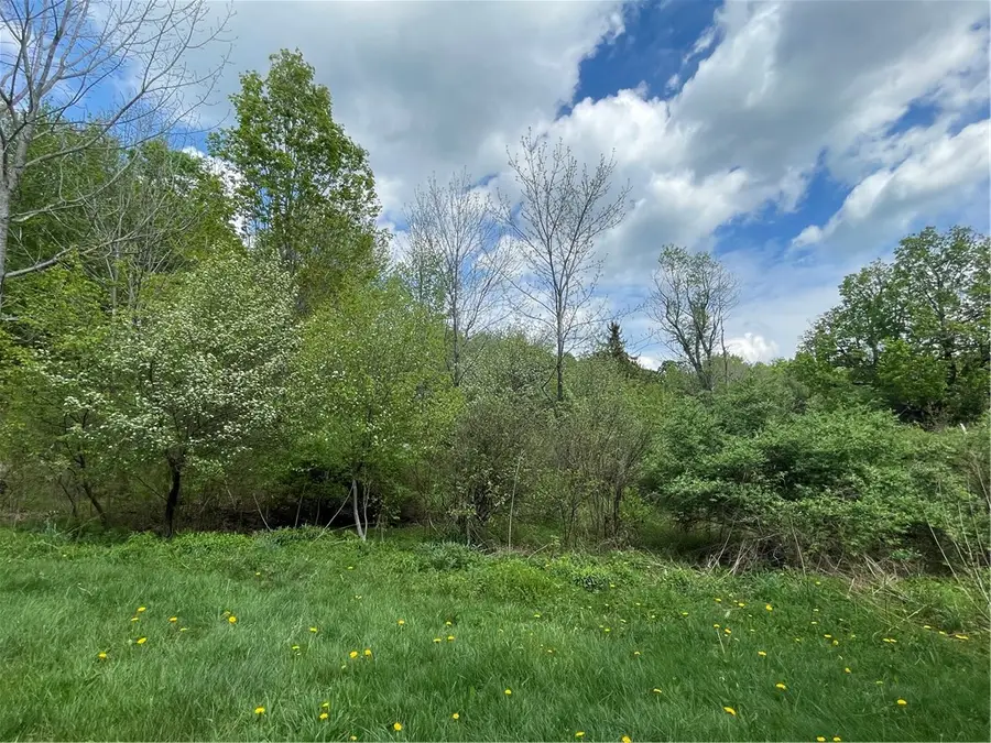 174 Peraglie, Jefferson, NY 12093 - #3