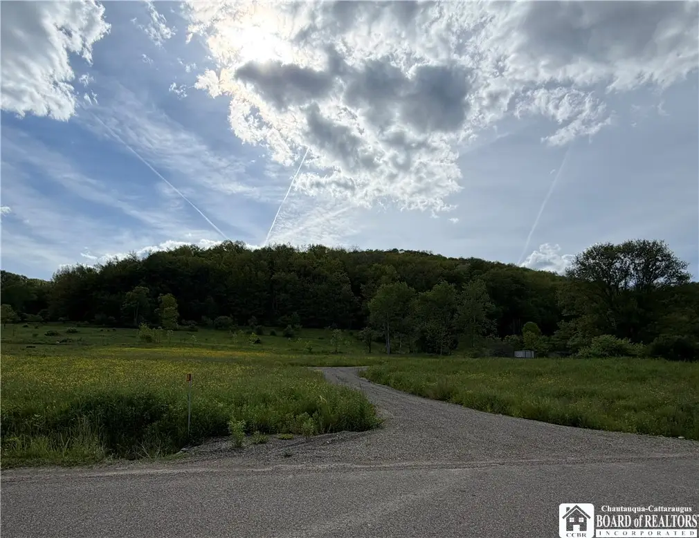 3231 W Five Mile Road, Allegany, NY 14706 - #1
