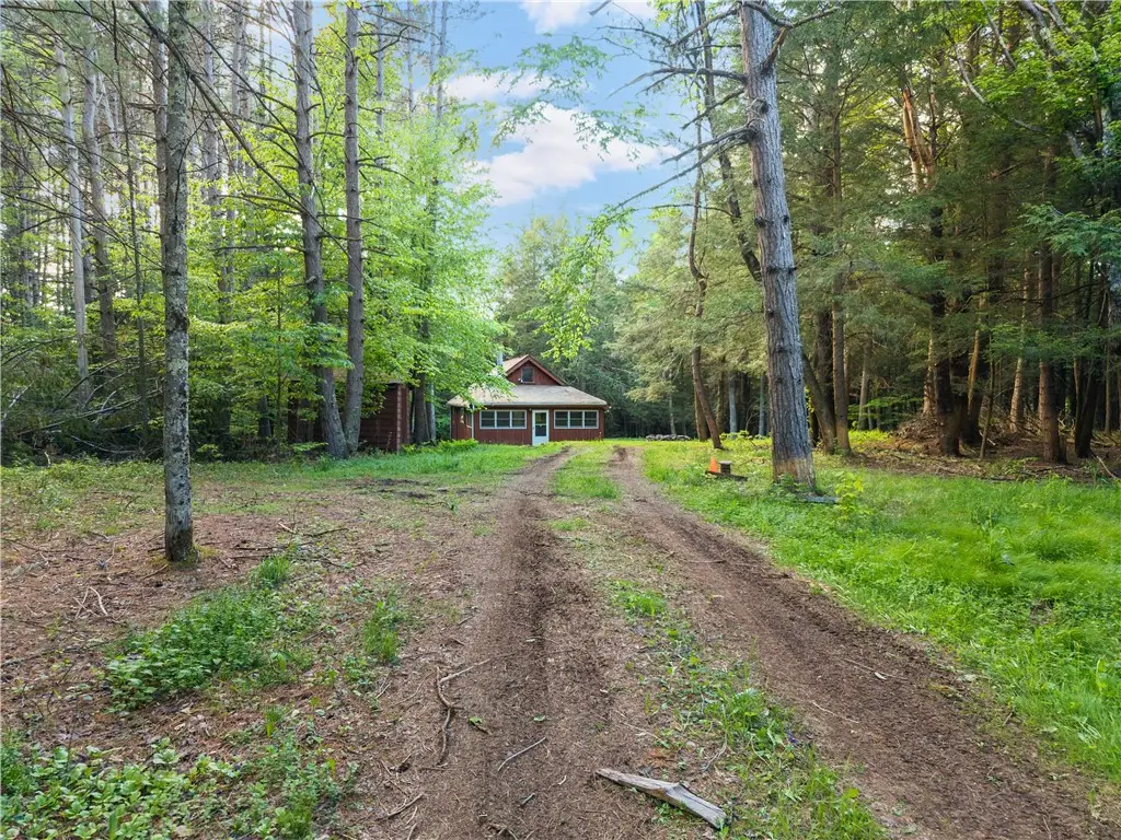 202 Blakesley Road, Gilboa, NY 12076 - #1