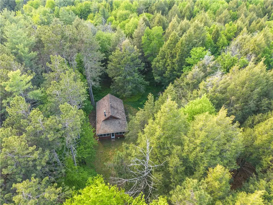 202 Blakesley Road, Gilboa, NY 12076 - #3