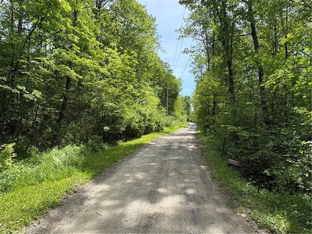 Lake Lorraine Lane, Norwich, NY 13815 - #1