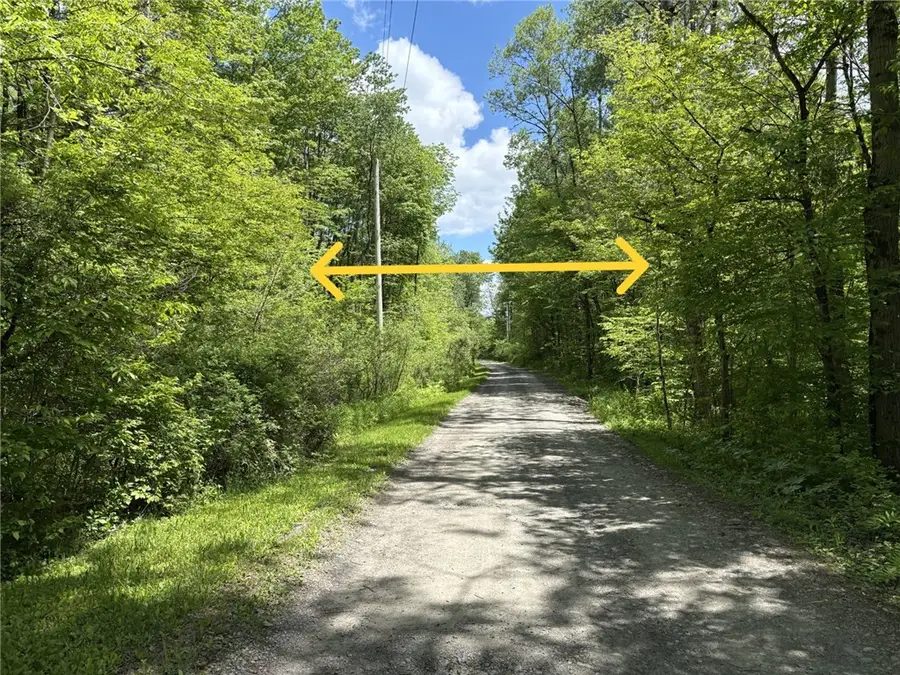 Lake Lorraine Lane, Norwich, NY 13815 - #2