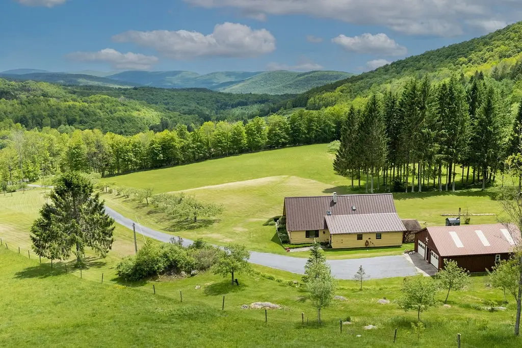 2607 Lower Dingle Hill Road, Andes, NY 13731 - #1