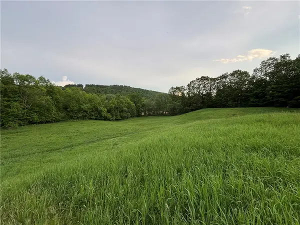 1738 County Highway 34, Schenevus, NY 12155