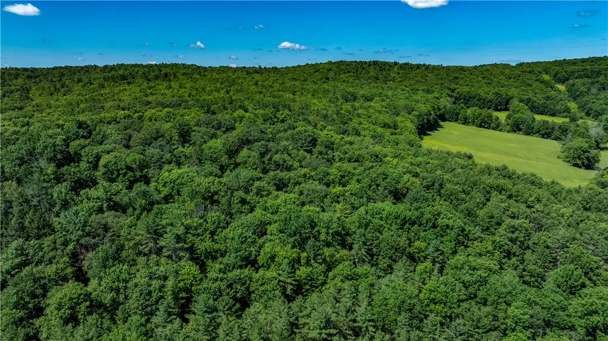 Lower Ravine Road, Norwich, NY 13815 - #1