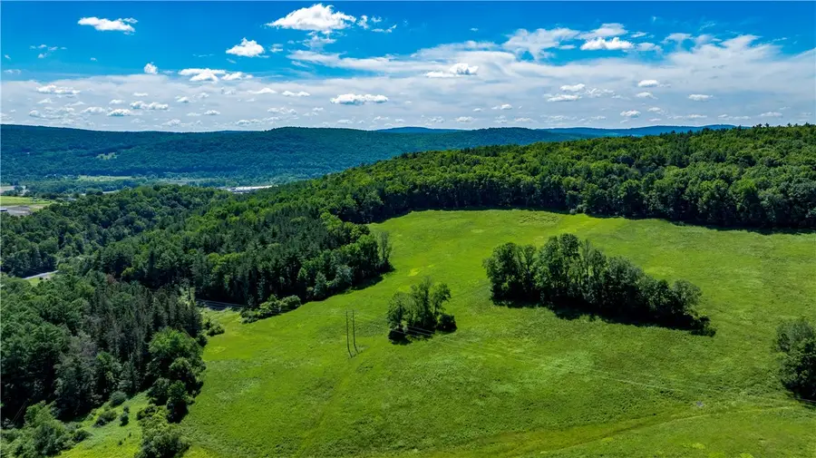 Lower Ravine Road, Norwich, NY 13815 - #3