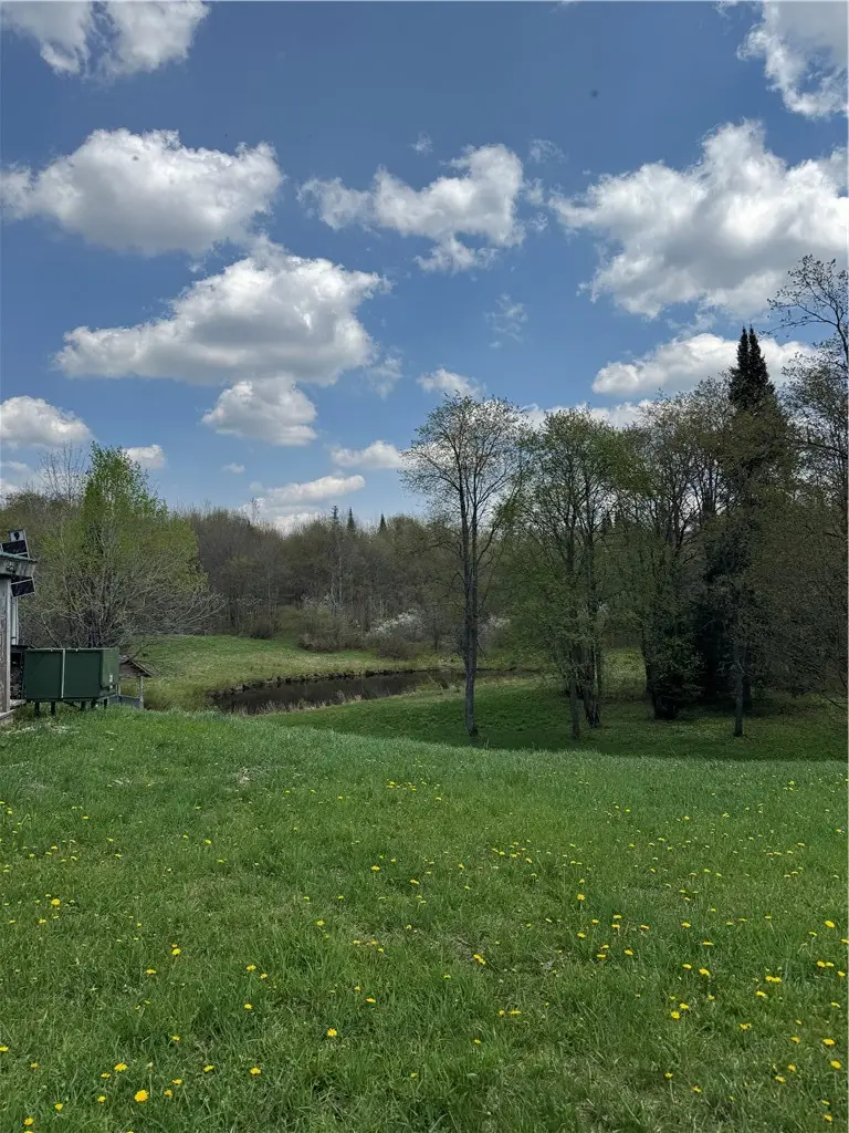 2176 Pitcher Road, Lowville, NY 13367 - #3