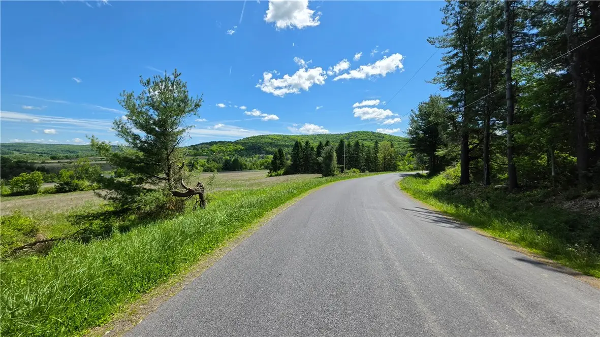228 Burns Road, Brooktondale, NY 14817 - #1